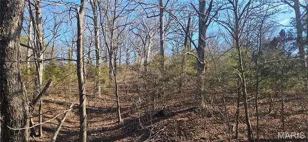 $99,900 | 0 County Road 4160, Salem, MO 65560