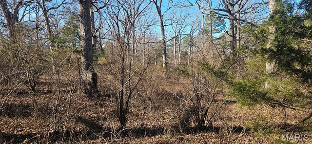 $110,000 | 0 County Road 4160, Salem, MO 65560