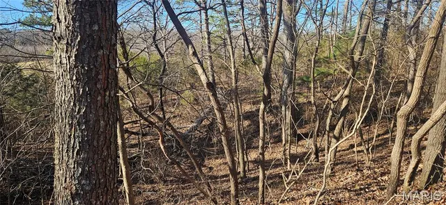 $110,000 | 0 County Road 4160, Salem, MO 65560