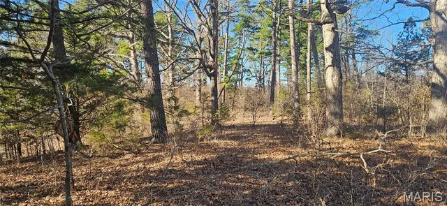 $110,000 | 0 County Road 4160, Salem, MO 65560