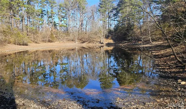 $110,000 | 0 County Road 4160, Salem, MO 65560