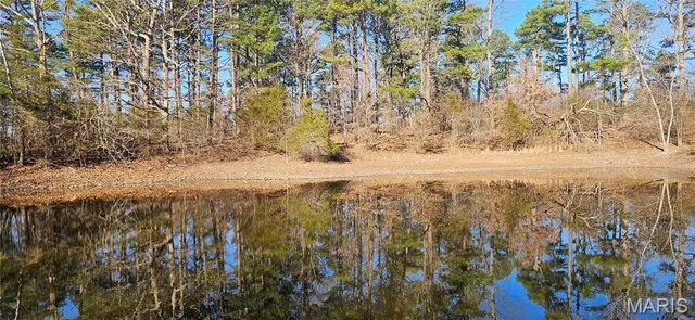 $110,000 | 0 County Road 4160, Salem, MO 65560