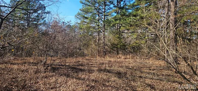 $110,000 | 0 County Road 4160, Salem, MO 65560