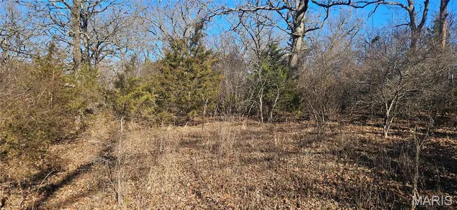 $110,000 | 0 County Road 4160, Salem, MO 65560