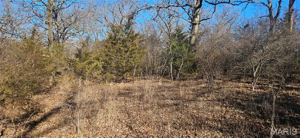 $99,900 | 0 County Road 4160, Salem, MO 65560