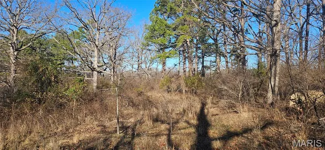 $110,000 | 0 County Road 4160, Salem, MO 65560