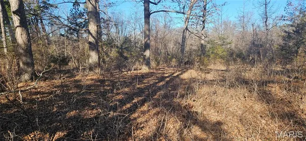 $99,900 | 0 County Road 4160, Salem, MO 65560