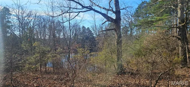 $110,000 | 0 County Road 4160, Salem, MO 65560