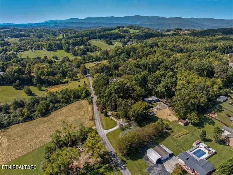 161 Alley Road Andersonville, TN 37705 - Photo 48 of 50