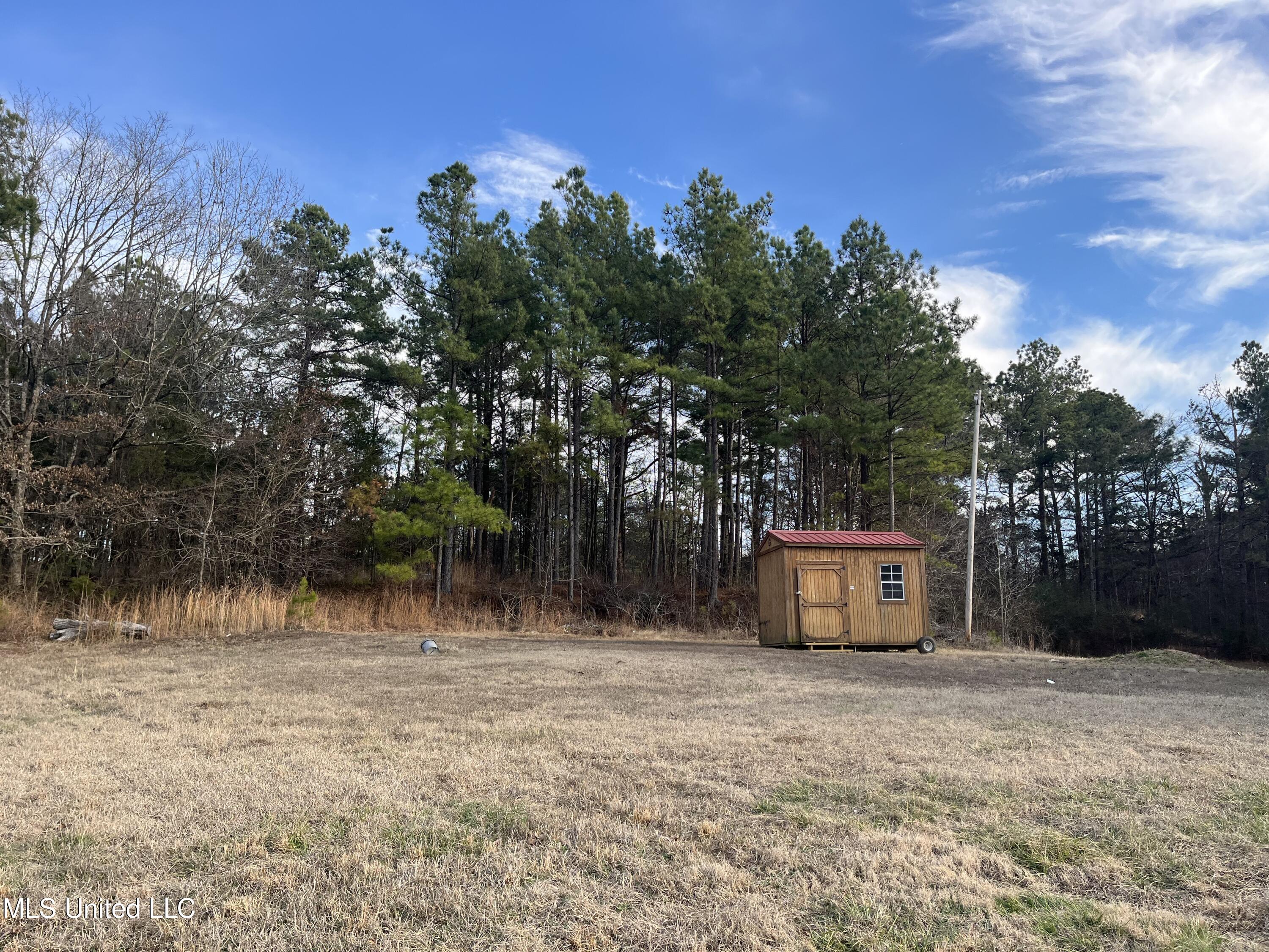 941 Mt Pleasant Road Byhalia, MS 38611 - Photo 7 of 17 IMG_4783