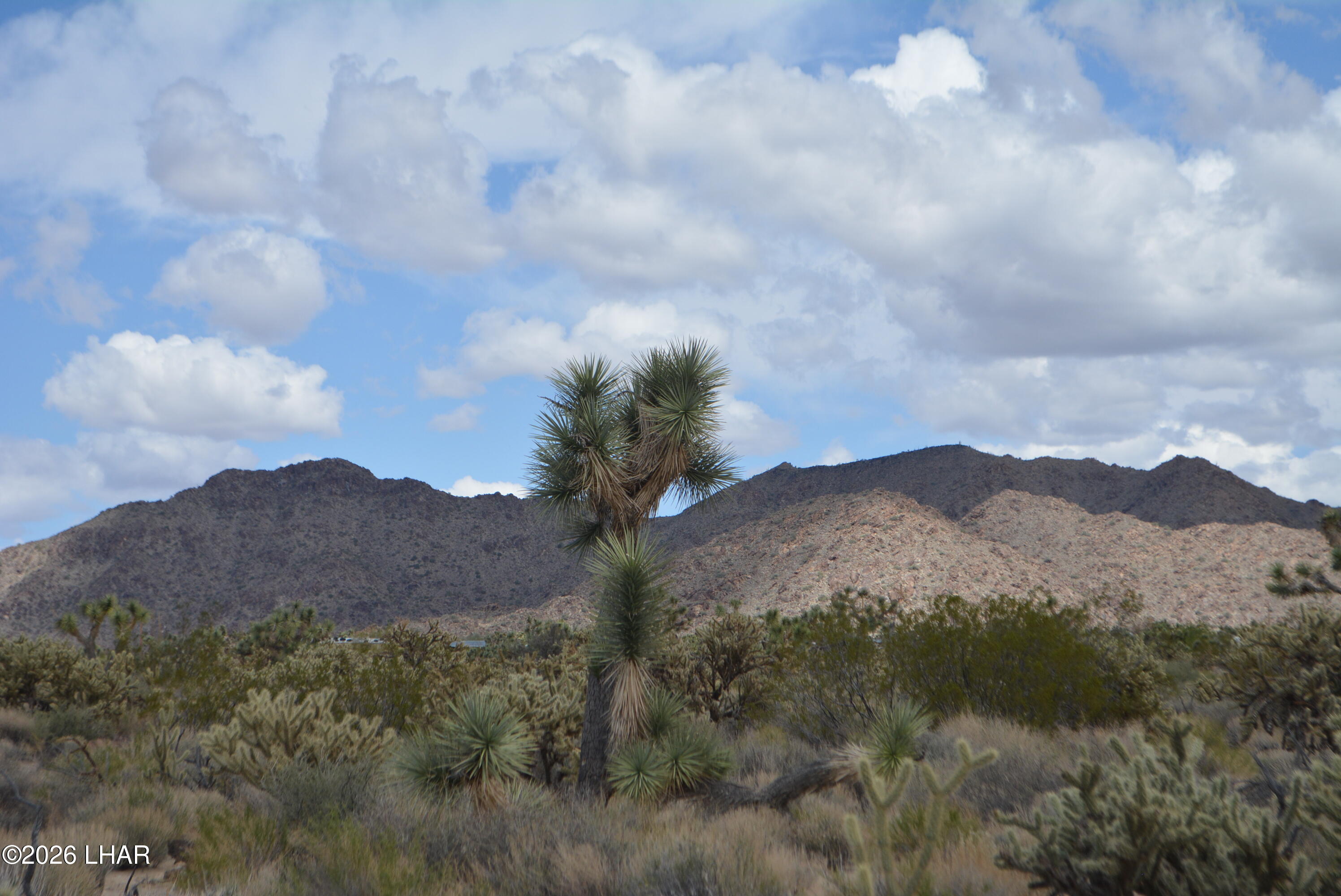 11900 Alan Road Yucca, AZ 86438 - Photo 92 of 93 DSC_1398