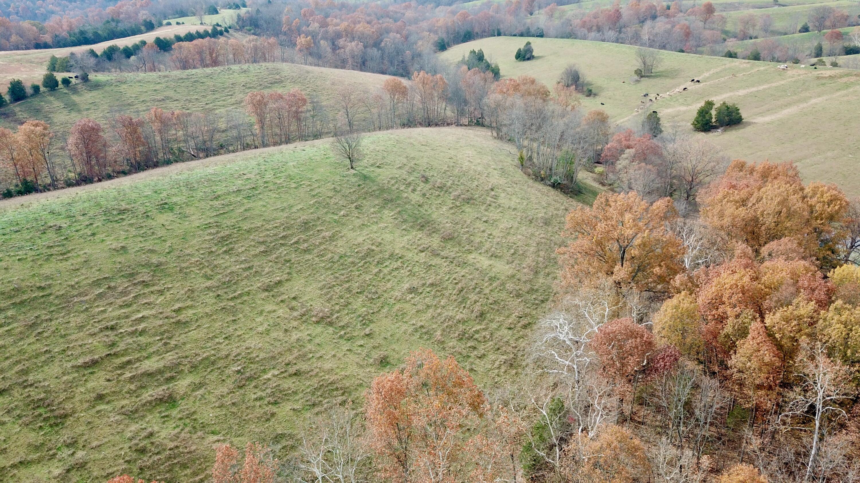 0 Gratz Road Owenton, KY 40359 - Photo 23 of 40