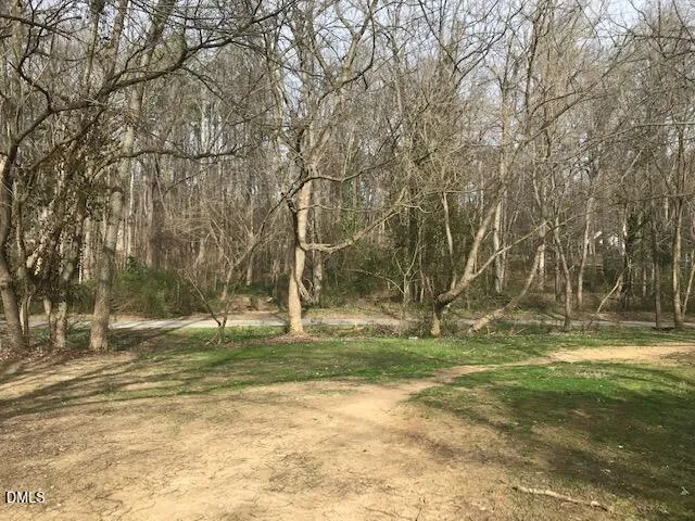 a backyard of water with trees