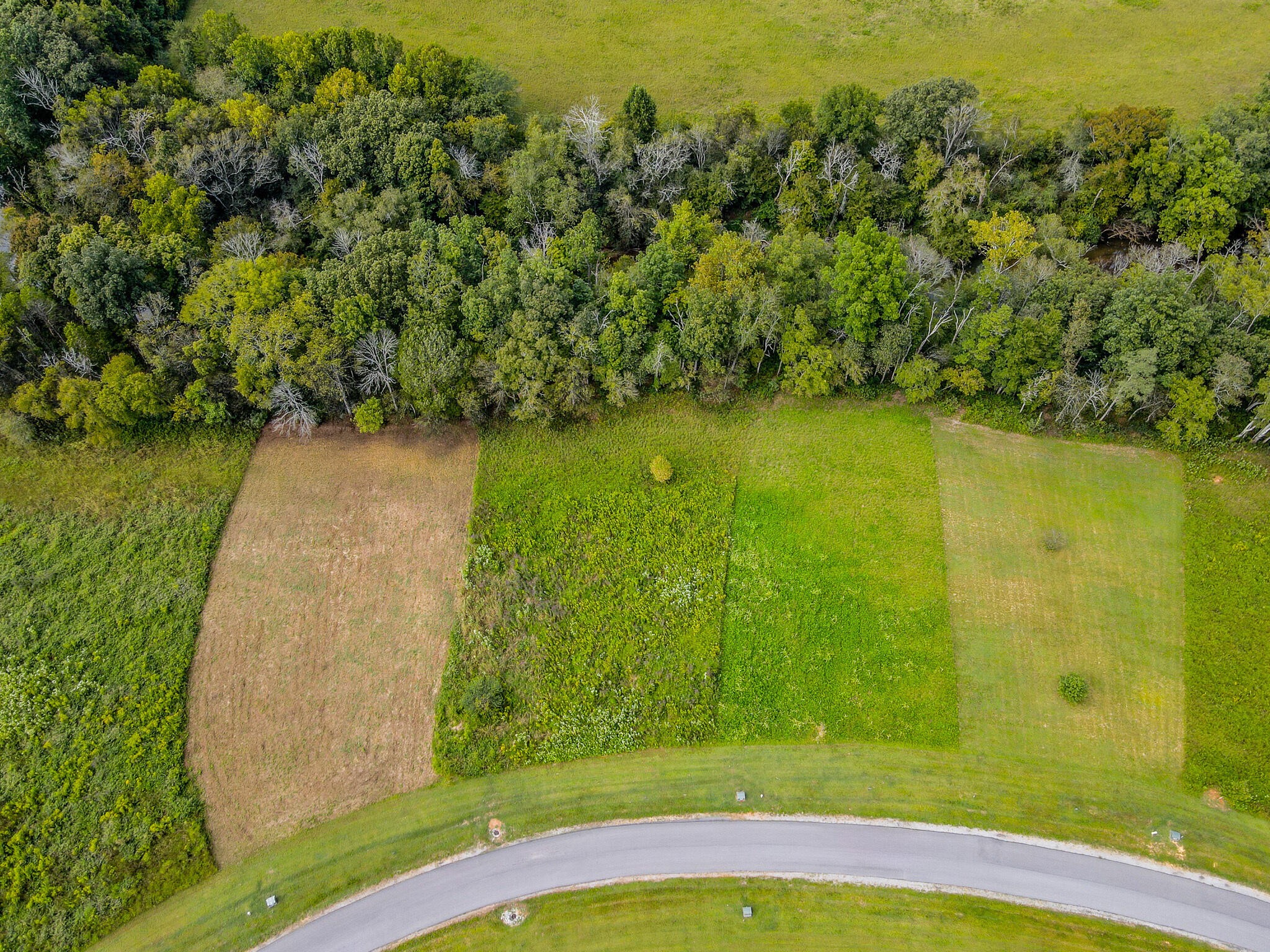 36 River Ridge Drive Dunlap, TN 37327 - Photo 4 of 26
