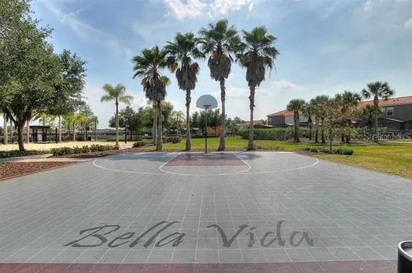 a view of a park with palm trees