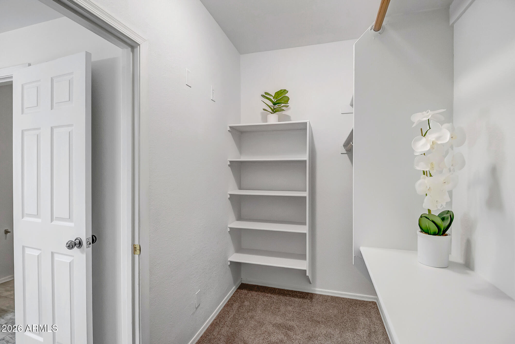 1445 East Broadway Road, Unit 208 Tempe, AZ 85282 - Photo 21 of 29 a view of a hallway with a potted plant