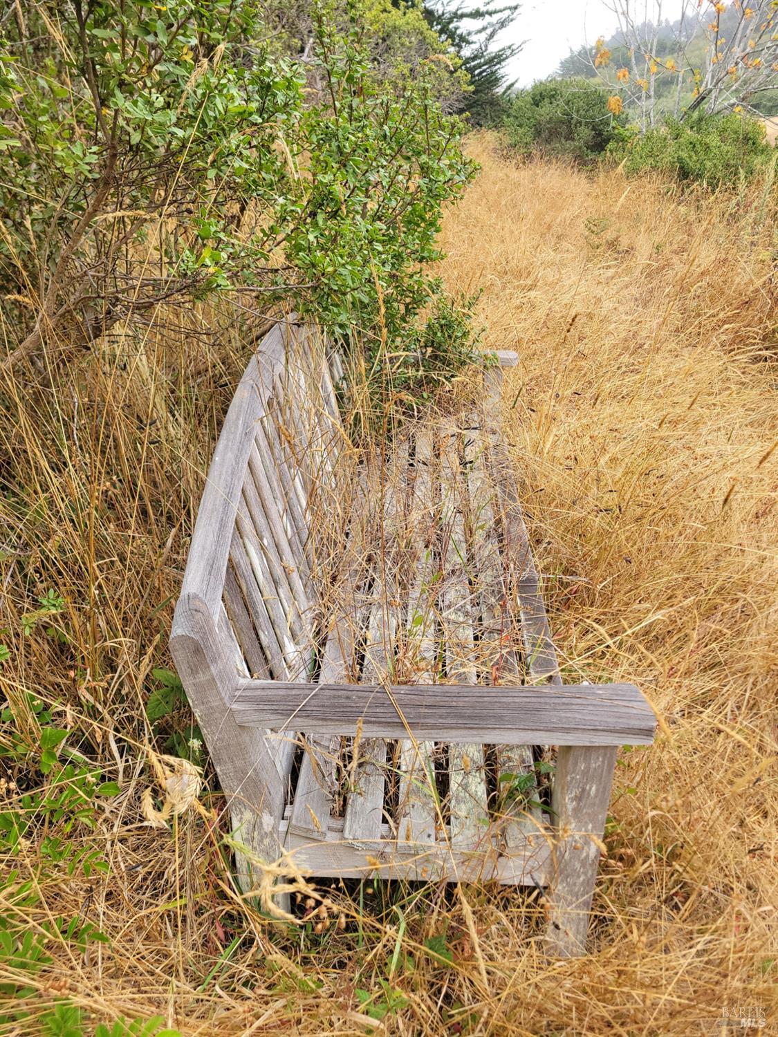 43751 Crispin Road Manchester, CA 95459 - Photo 33 of 39 This old bench is at the very south end of the property, a peaceful spot for contemplation.