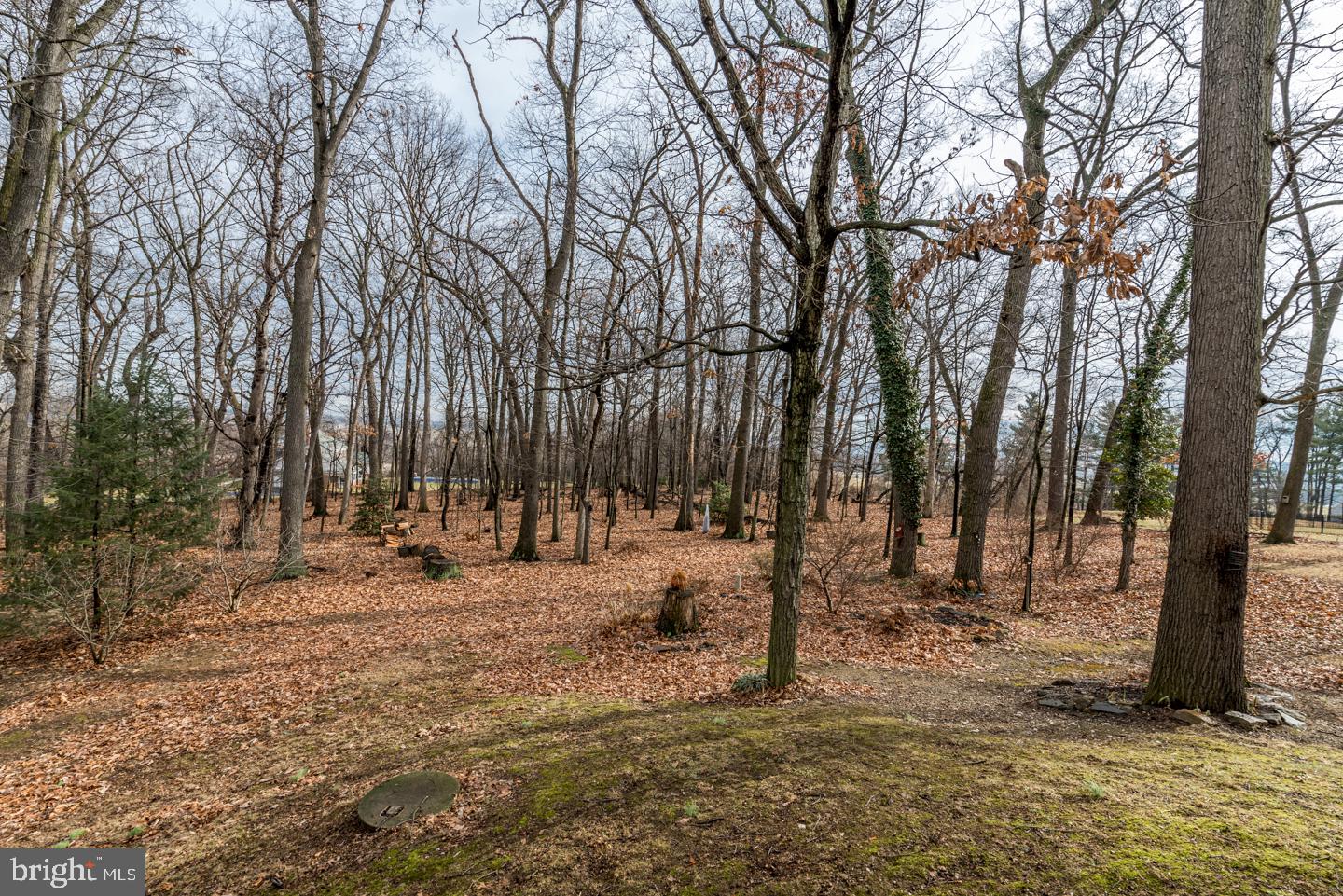 155 Greenwood Road Spring Grove, PA 17362 - Photo 26 of 27