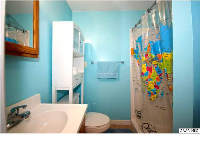 838 Swan Ridge Road Charlottesville, VA 22903 - Photo 12 of 28 Full bath in basement