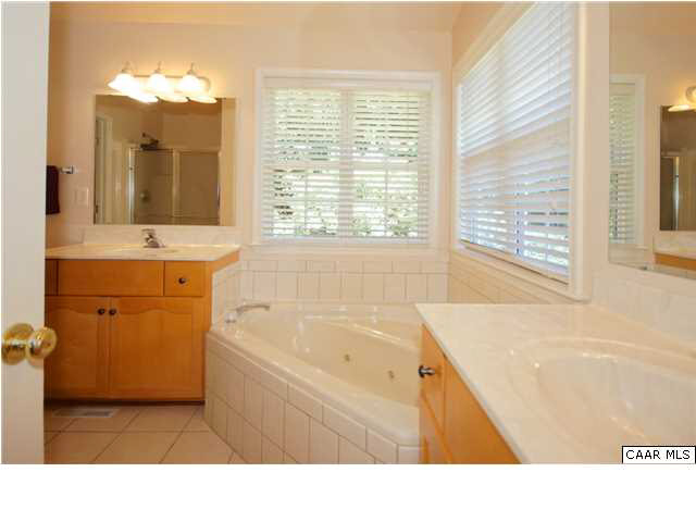 838 Swan Ridge Road Charlottesville, VA 22903 - Photo 14 of 28 Master bath