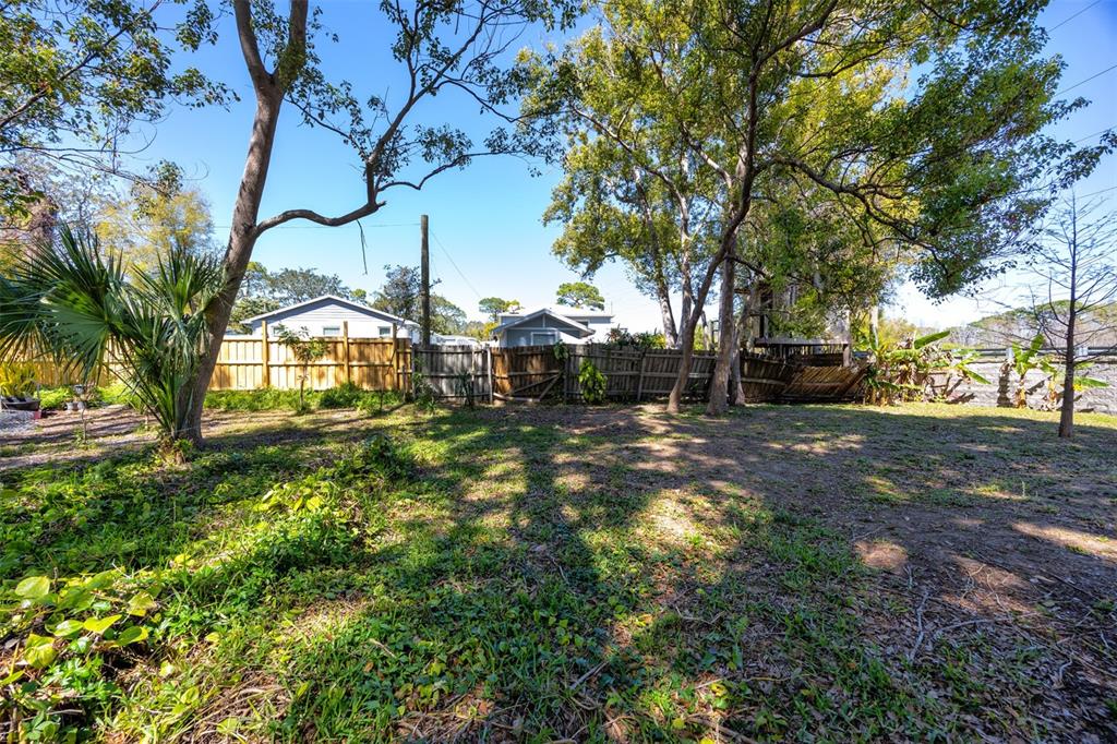 Boston Street Tarpon Springs, FL 34689 - Photo 11 of 14 a view of a yard with plants and trees