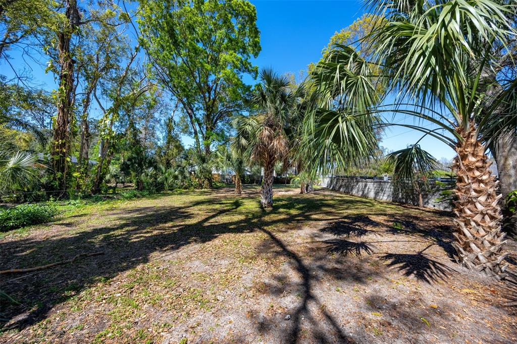 Boston Street Tarpon Springs, FL 34689 - Photo 12 of 14 a view of a yard with a tree