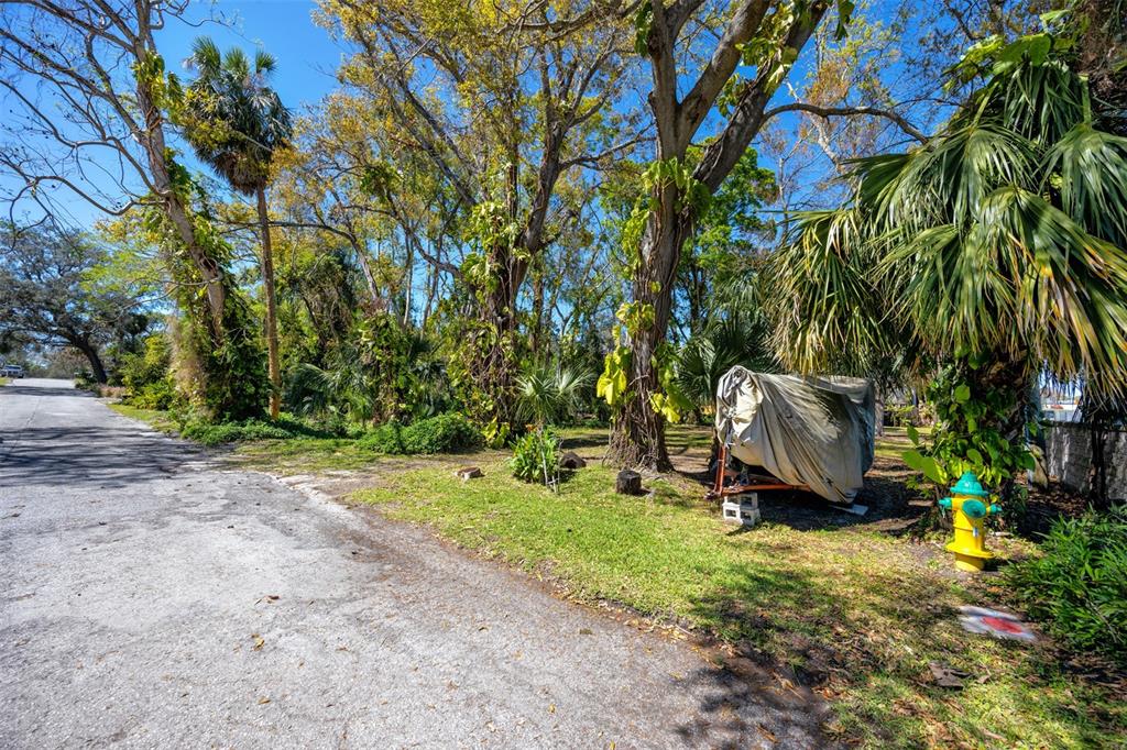 Boston Street Tarpon Springs, FL 34689 - Photo 14 of 14 a view of backyard with barbeque grill and potted plants