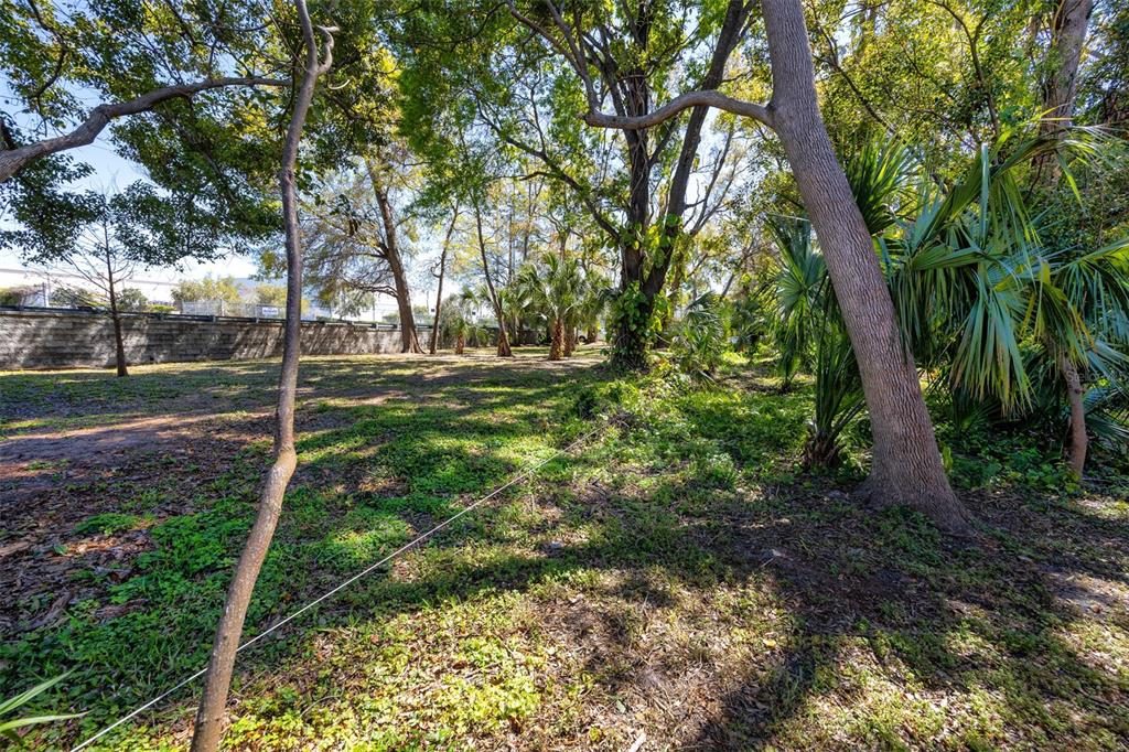 Boston Street Tarpon Springs, FL 34689 - Photo 9 of 14 a view of a backyard with large trees