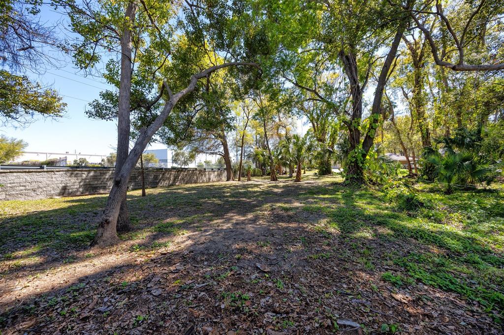 Boston Street Tarpon Springs, FL 34689 - Photo 10 of 14 a view of outdoor space with trees
