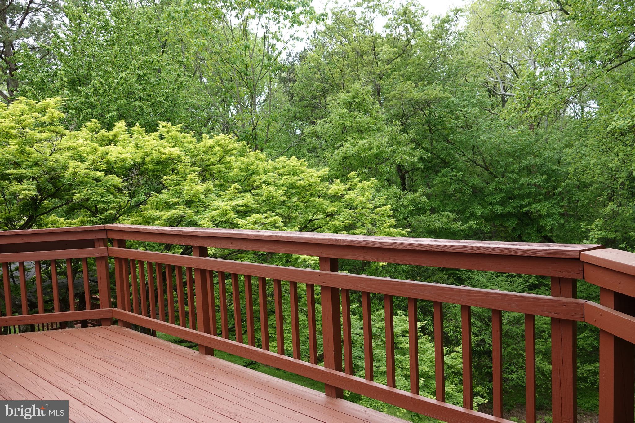 10295 Dunn Meadow Road Vienna, VA 22182 - Photo 36 of 37