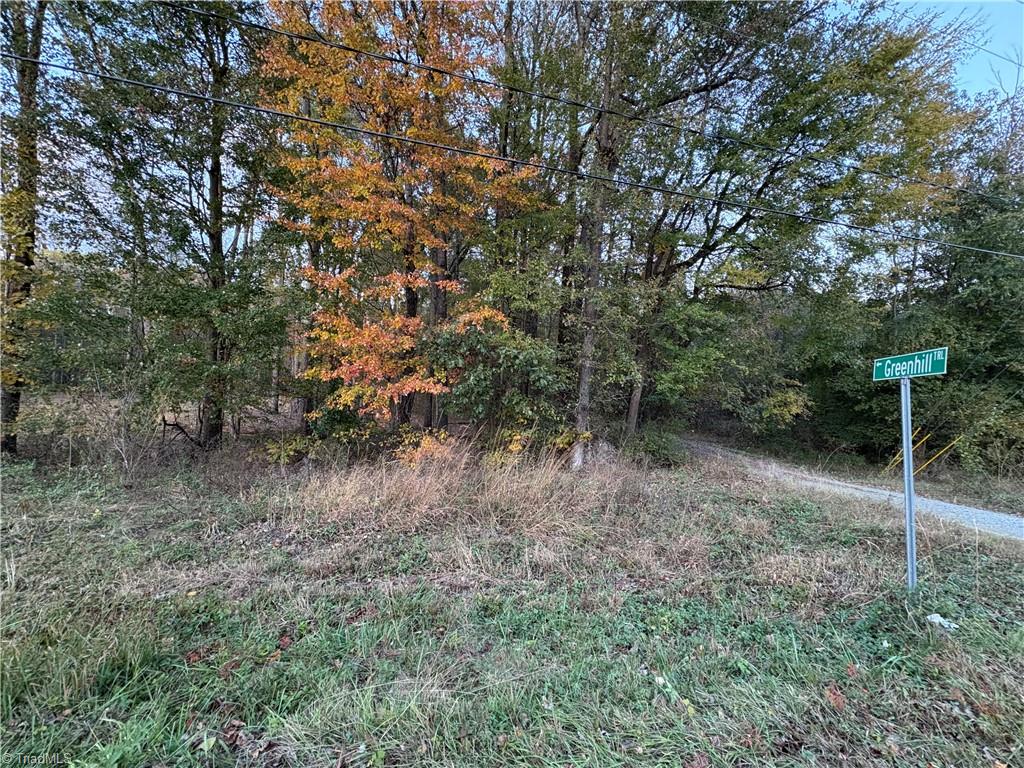 0 Davis Country Road Randleman, NC 27317 - Photo 2 of 4