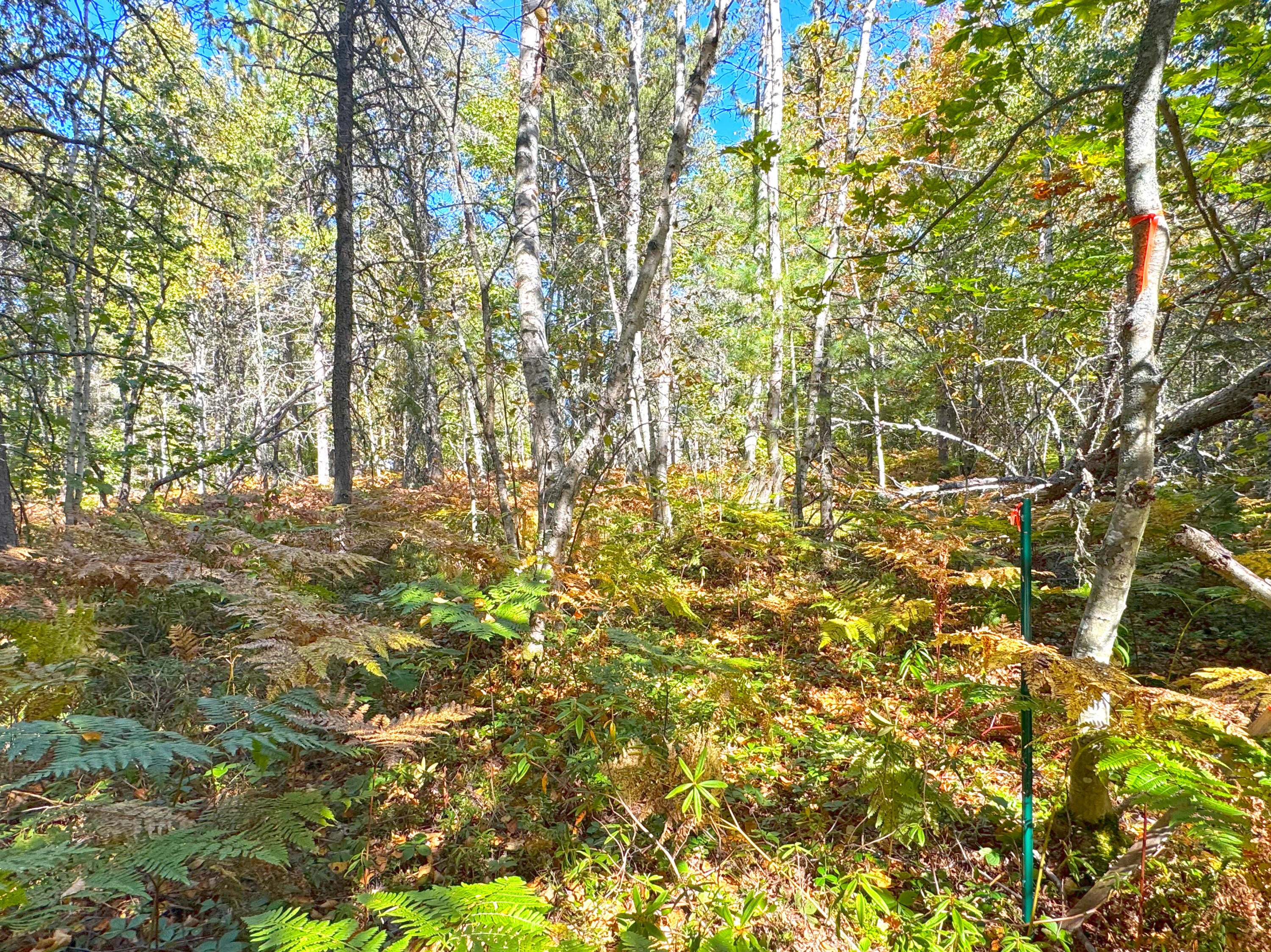 15614 North Whitefish Point Road Paradise, MI 49768 - Photo 78 of 107 Gallery Image 78