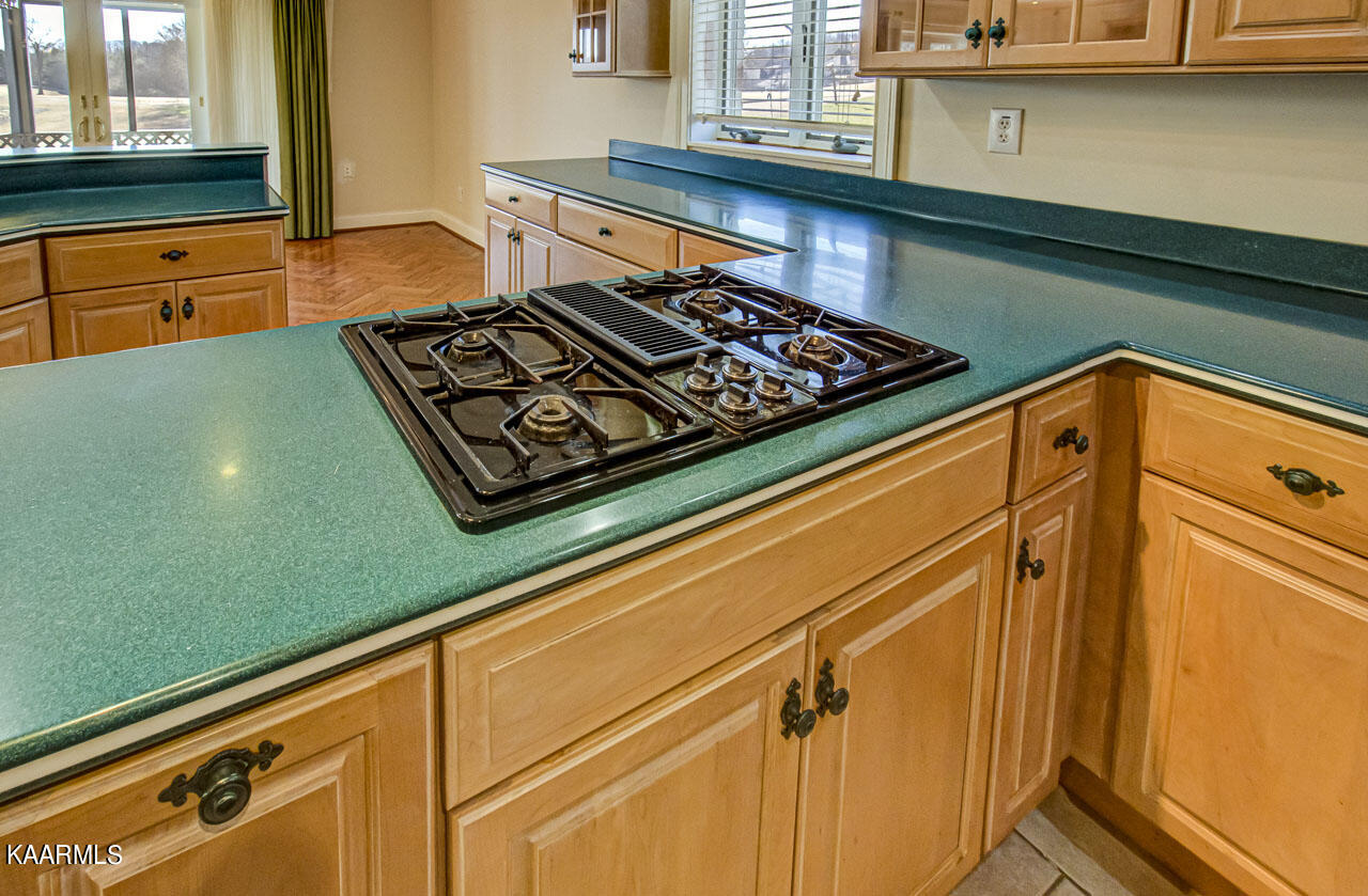 127 Santee Way Loudon, TN 37774 - Photo 8 of 37 Kitchen