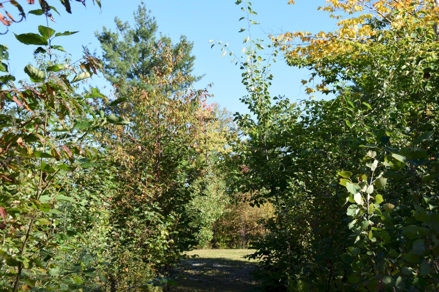 396 Eaton Hill Road Solon, ME 04979 - Photo 25 of 26 DSC_0070