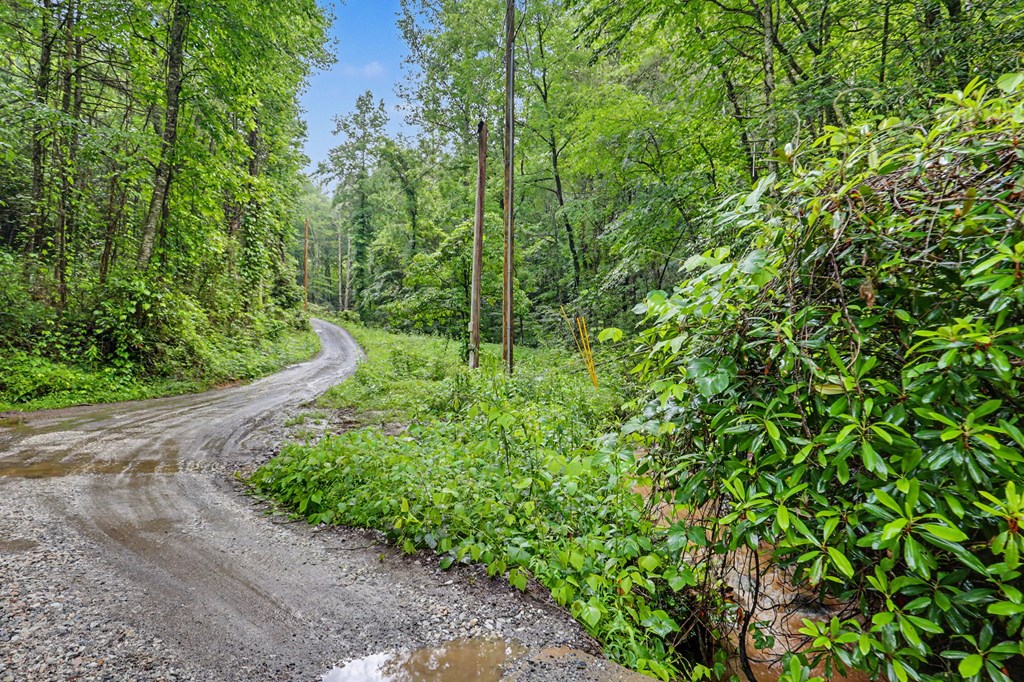 1070 Morgan Creek Road Marble, NC 28905 - Photo 13 of 40