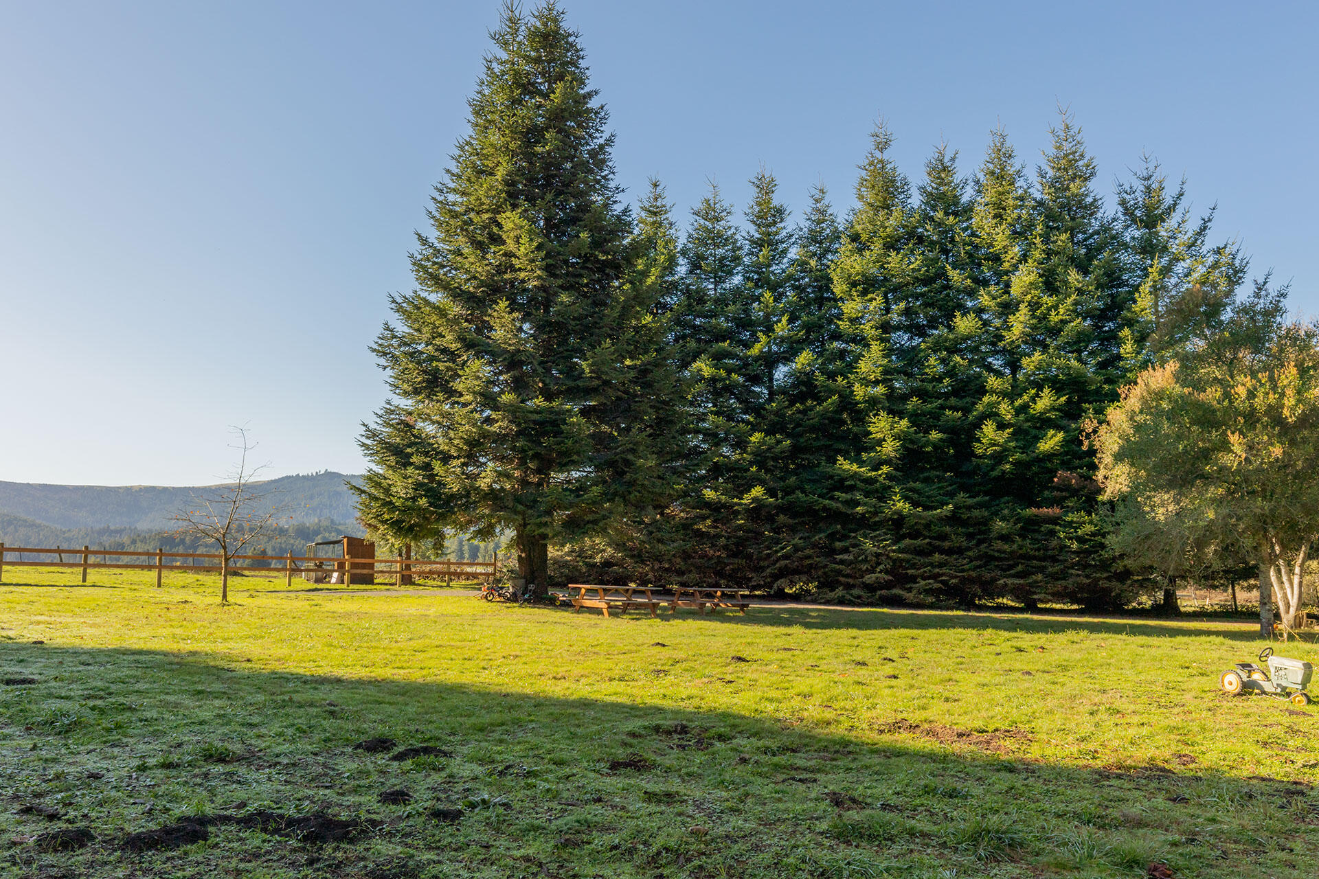 2572 Rio Vista Lane Rio Dell, CA 95562 - Photo 55 of 96 SW__1126