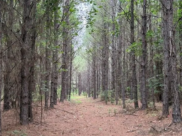 $388,000 | 0 Hearn Sykes, Shongaloo, LA 71072