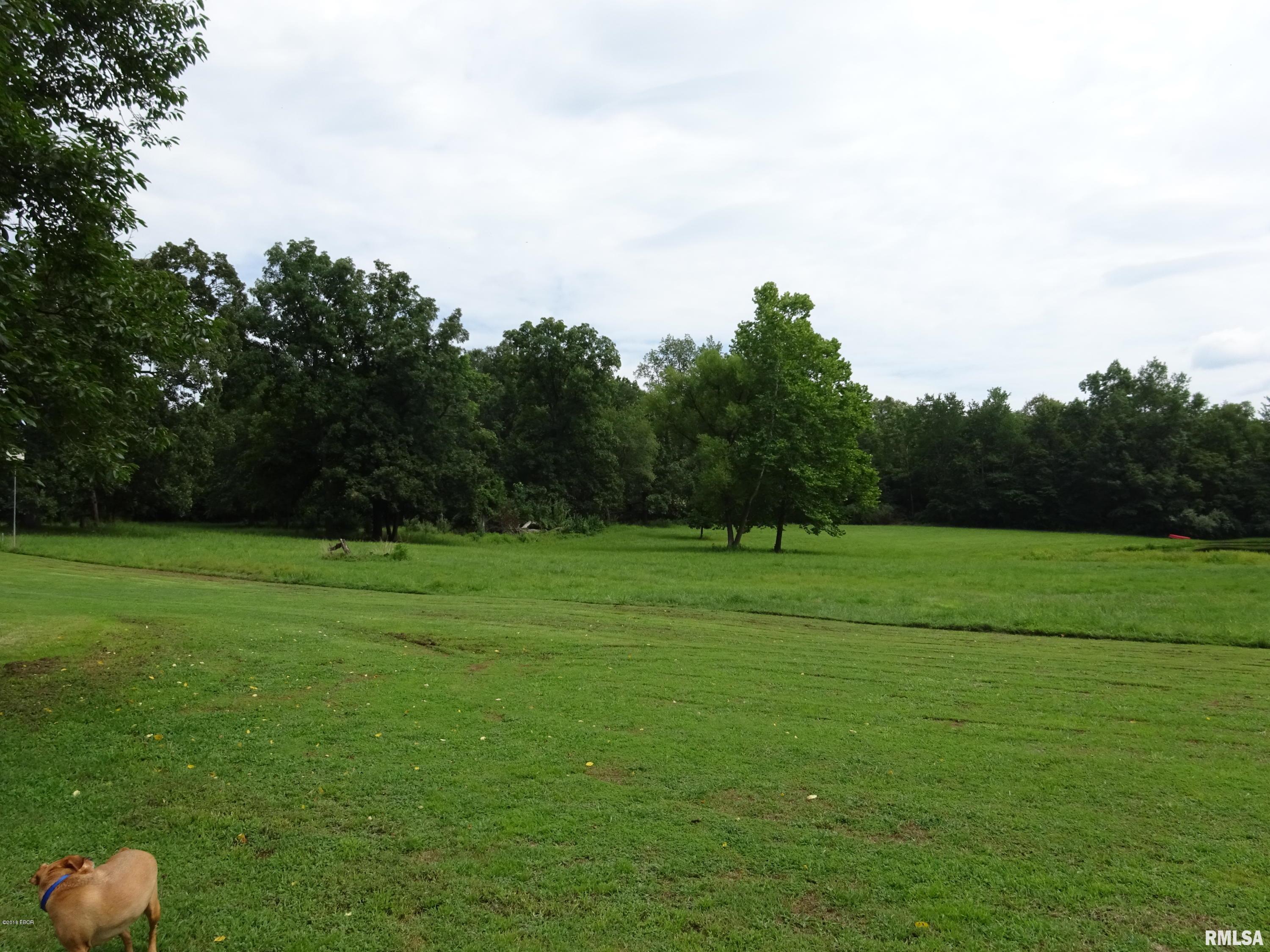 405 Smith Road Carrier Mills, IL 62917 - Photo 16 of 20