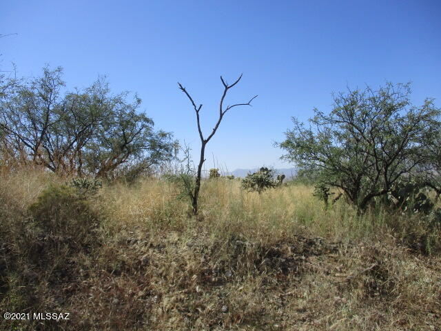 231 Via Nazas, Unit 31 Rio Rico, AZ 85648 - Photo 2 of 8