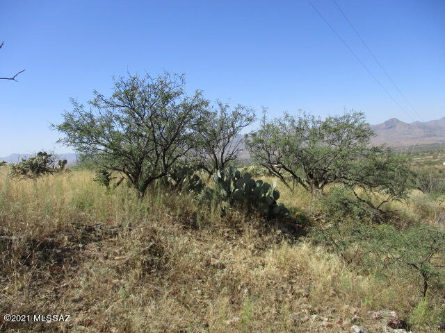 231 Via Nazas, Unit 31 Rio Rico, AZ 85648 - Photo 3 of 8