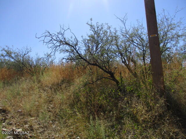 231 Via Nazas, Unit 31 Rio Rico, AZ 85648 - Photo 4 of 8