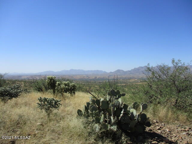 231 Via Nazas, Unit 31 Rio Rico, AZ 85648 - Photo 5 of 8