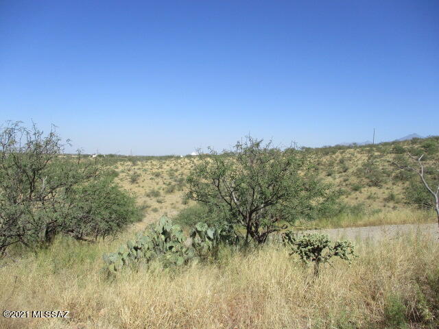 231 Via Nazas, Unit 31 Rio Rico, AZ 85648 - Photo 8 of 8