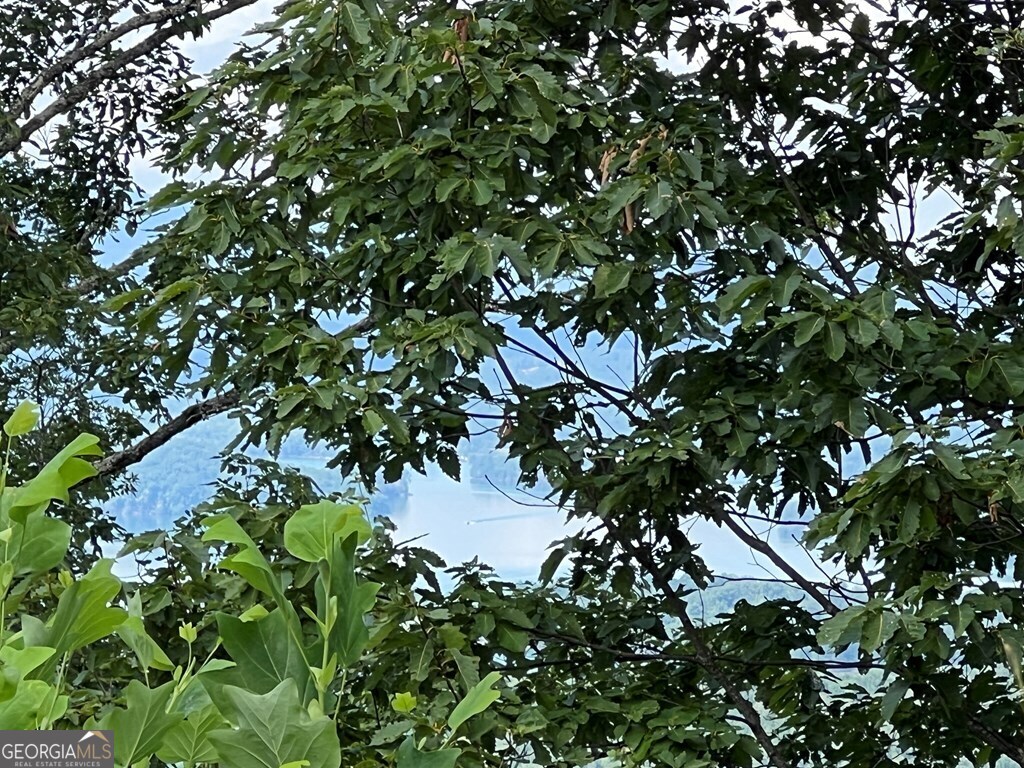 Lot 73 M Ridges Hayesville, NC 28904 - Photo 2 of 45 a backyard of a house