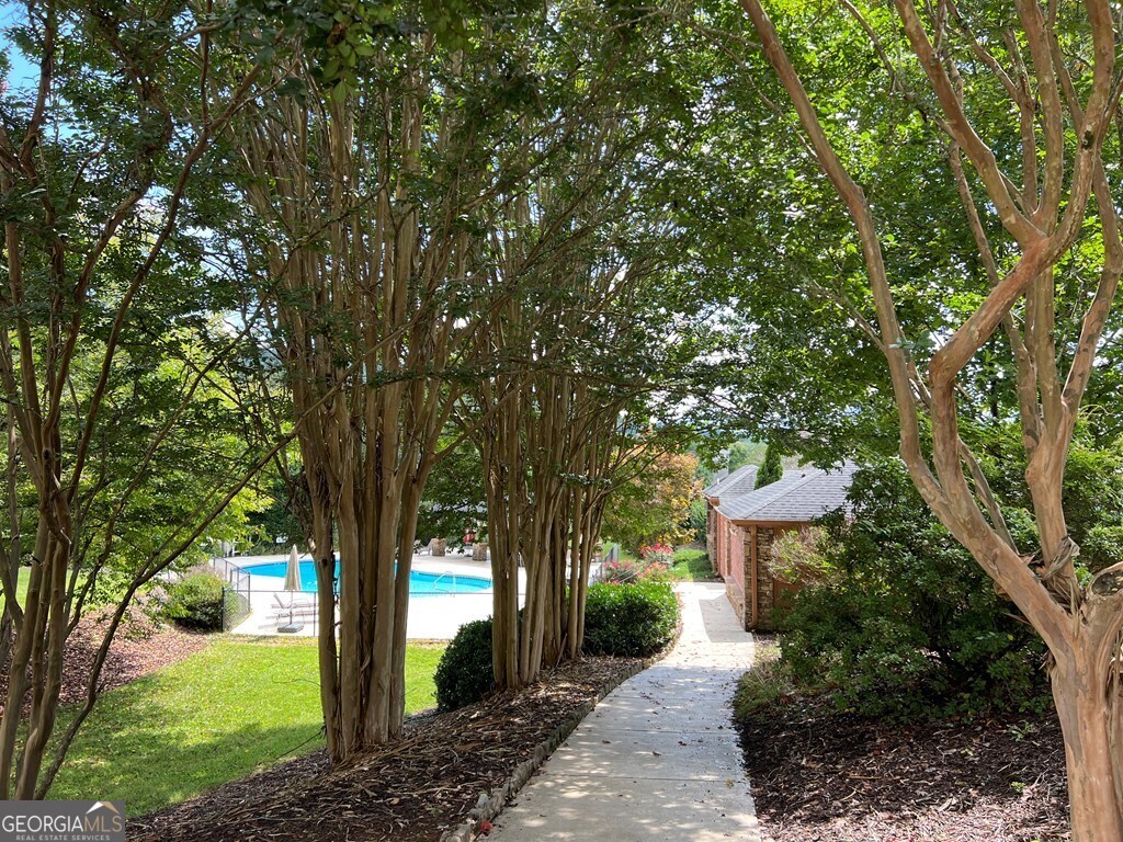 Lot 73 M Ridges Hayesville, NC 28904 - Photo 21 of 45 a picture of a tree in a garden