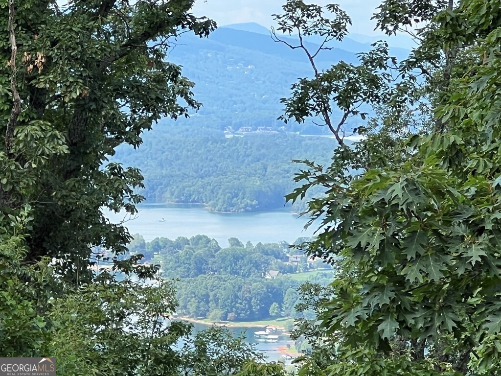 Lot 73 M Ridges Hayesville, NC 28904 - Photo 37 of 45 a view of a garden with a tree