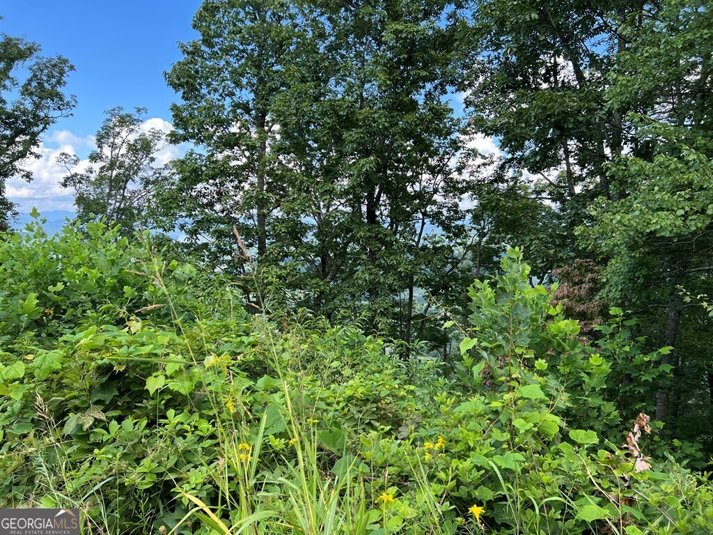 Lot 73 M Ridges Hayesville, NC 28904 - Photo 42 of 45