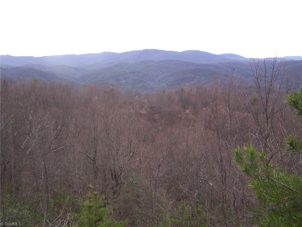 152 A Buck Mountain Road Purlear, NC 28665 - Photo 3 of 6