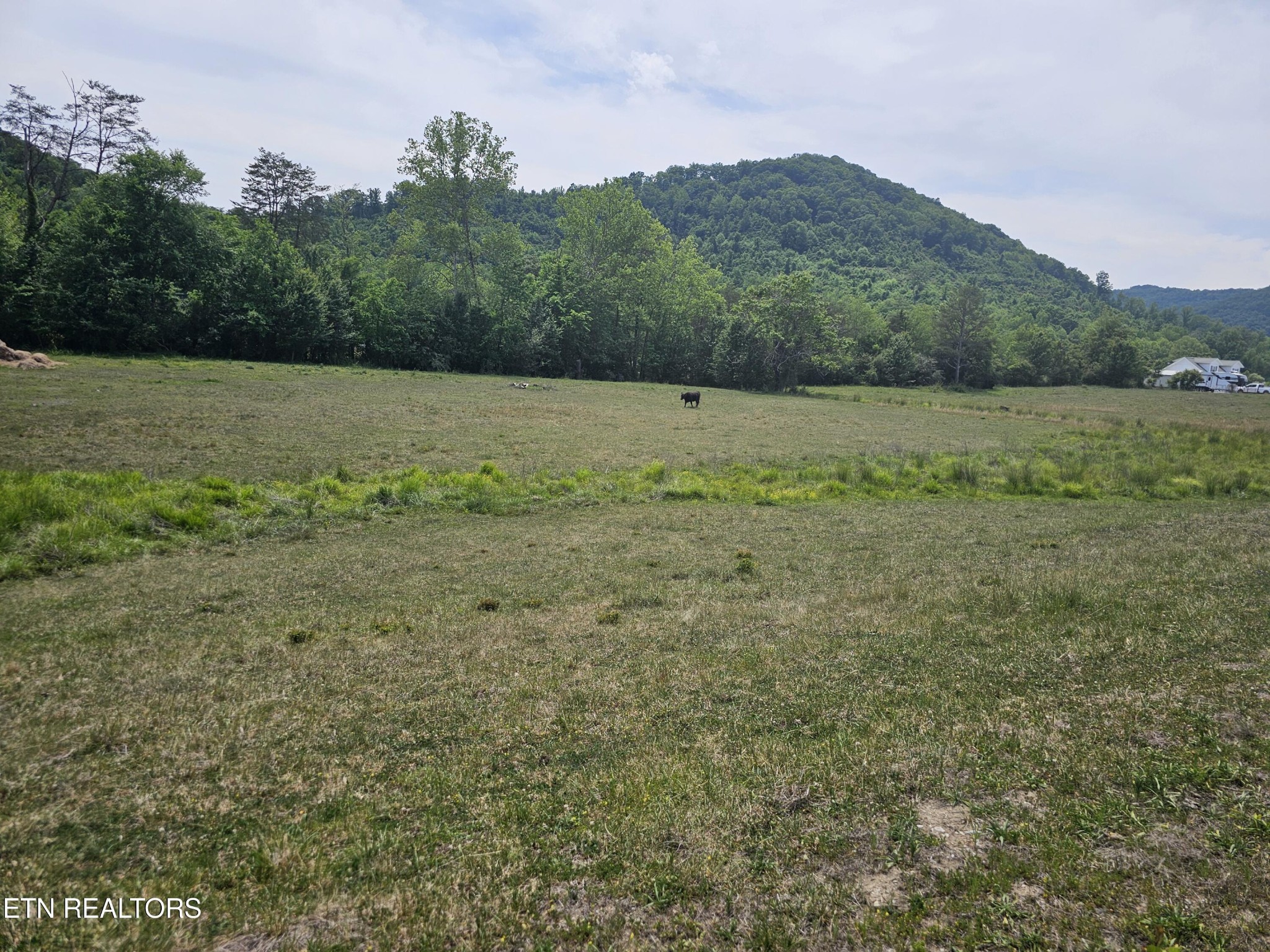 275 Republican Hill Road Newcomb, TN 37819 - Photo 12 of 34 Gallery Image 12