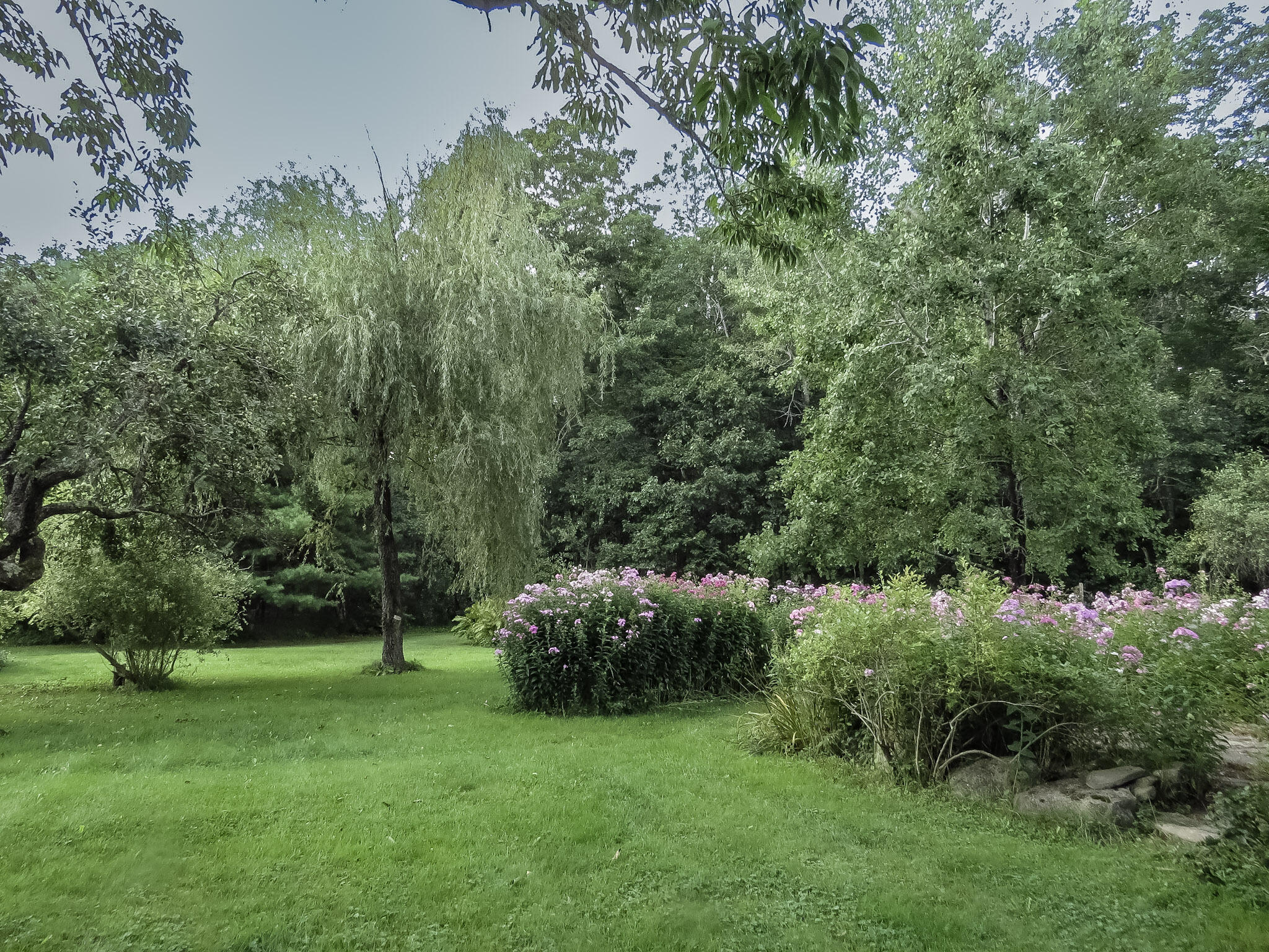 49 Herrick Road Belfast, ME 04915 - Photo 62 of 74 52-IMG_6244
